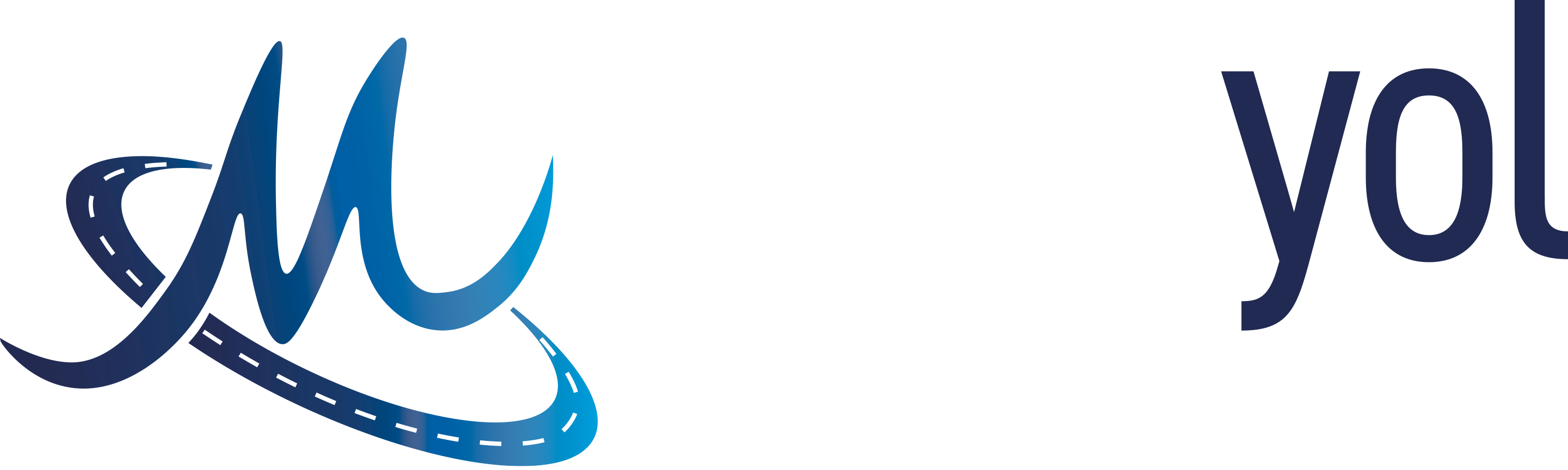 Mavi Yol Asfalt
